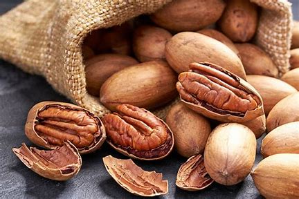 La noix de pécan : un allié pour votre santé